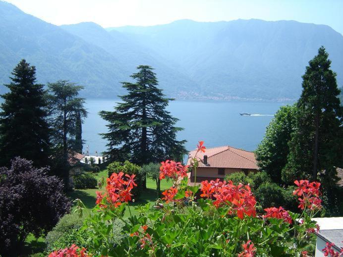 Hotel Lario Mezzegra Kültér fotó